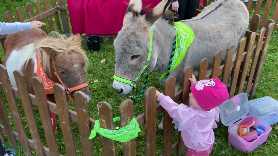 VIDEO: Pirátský dětský den se opět povedl na jedničku